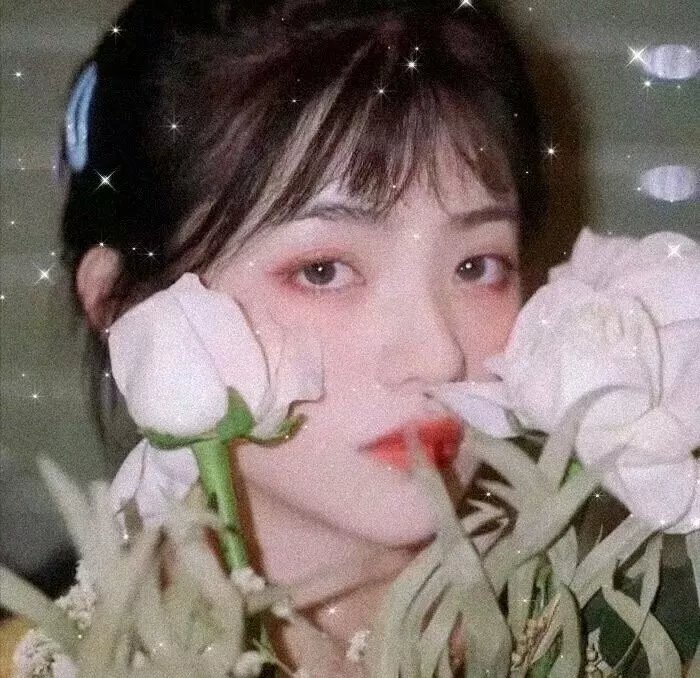 疗愈心中的伤口剧场版